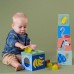 Сортер-пирамидка Taf toys Саванна Кубики Африка (12725) Сортер-пирамидка Taf toys Саванна Кубики Африка (12725)