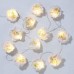 Гирлянда светодиодная Talking tables Blossom girls Цветочная 2 м (BG-LIGHT-FLOWER) Гирлянда светодиодная Talking tables Blossom girls Цветочная 2 м (BG-LIGHT-FLOWER)