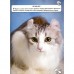 Книга «Мир вокруг нас Кошки» Книга «Мир вокруг нас Кошки»