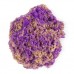 Кинетический песок Kinetic Sand Фиолетовая раковина (71482PP) Кинетический песок Kinetic Sand Фиолетовая раковина (71482PP)