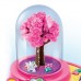 Набор Canal Toys So magic Магический сад делюкс (MSG004) Набор Canal Toys So magic Магический сад делюкс (MSG004)