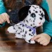 Игрушка-каталка FurReal Friends Пушистый питомец Щенок большой с аксессуарами (E8931/E8948) Игрушка-каталка FurReal Friends Пушистый питомец Щенок большой с аксессуарами (E8931/E8948)