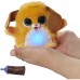 Интерактивная игрушка FurReal Friends Накорми зверька Собака (F1779/F1926) Интерактивная игрушка FurReal Friends Накорми зверька Собака (F1779/F1926)