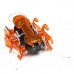Радиоуправляемая игрушка Hexbug Огненный муравей оранжевый (477-2864/5) Радиоуправляемая игрушка Hexbug Огненный муравей оранжевый (477-2864/5)