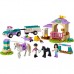 Конструктор LEGO Friends Тренировка лошади и прицеп для перевозки (41441)