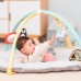 Развивающий коврик Taf Toys Полярное сияние 4-в-1 Уютное гнездышко (12235) Развивающий коврик Taf Toys Полярное сияние 4-в-1 Уютное гнездышко (12235)