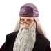 Кукла Mattel Harry Potter Профессор Альбус Дамблдор (GCN30/FYM54)
