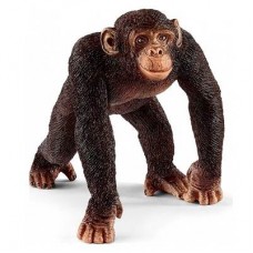 Пластиковая фигурка Schleich Шимпанзе 6,5 x 5,2 x 5,7 см (14817) Пластиковая фигурка Schleich Шимпанзе 6,5 x 5,2 x 5,7 см (14817)