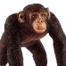 Пластиковая фигурка Schleich Шимпанзе 6,5 x 5,2 x 5,7 см (14817) Пластиковая фигурка Schleich Шимпанзе 6,5 x 5,2 x 5,7 см (14817)