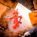 Фигурка Roblox Booga Booga Fire Ant W5 (ROB0193)